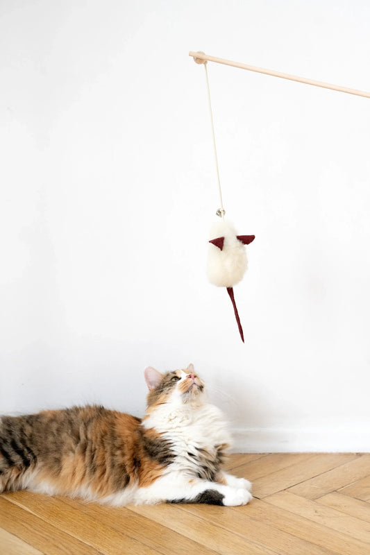 Natural Wool Cat Toy Mouse
