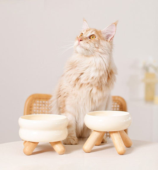 Elevated Ceramic Pet Water Bowl with Wooden Stand