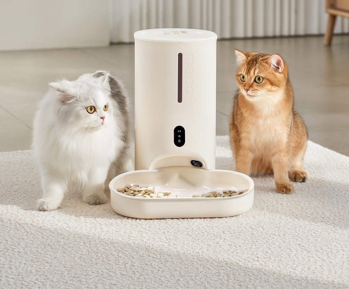 Smart Automatic Pet Feeder with Camera & App Control – 4L