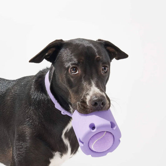 Natural Rubber Dog Tennis Cup Toy
