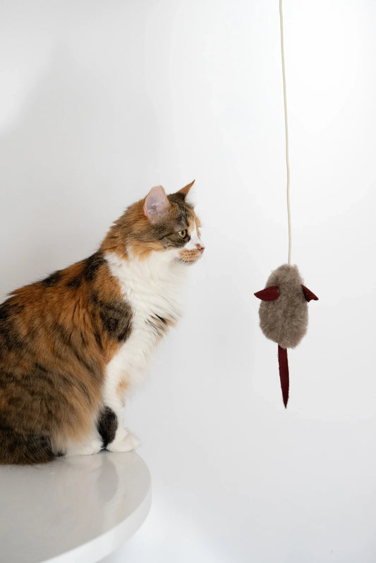 Natural Wool Cat Toy Mouse