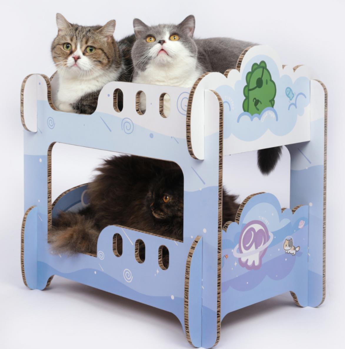 Blue Cat Scratching Board