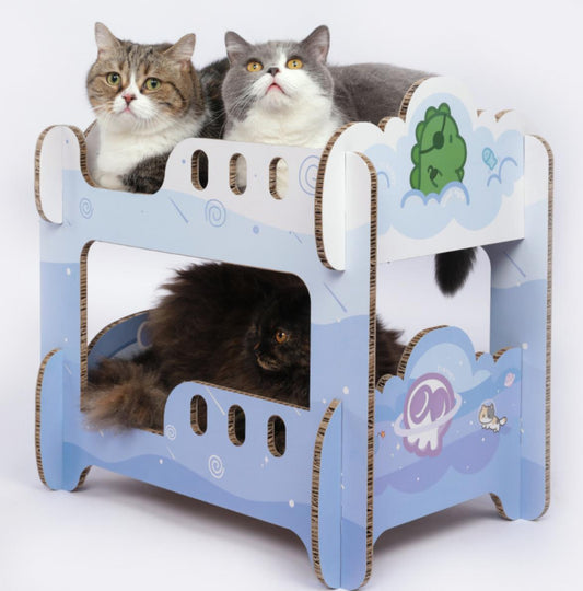 Blue Cat Scratching Board