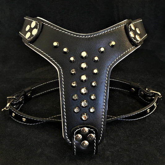 Rocky Studded Leather Dog Harness – Small to Medium